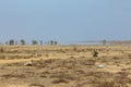 A mirage in a Cape verde desert