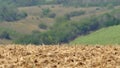 Mirage or heat haze over harvested field on abnormally hot summer day