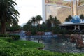 The Mirage Hotel and Casino, water, plant, swimming pool, arecales