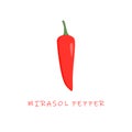 mirasol pepper flat design vector illustration Royalty Free Stock Photo