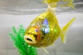 MIRO - first biometric aquarium robotic fish