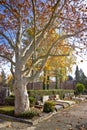 Mirogoj cemetary of Zagreb scene Royalty Free Stock Photo