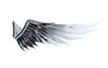 Mirror beautiful angel wing isolated on white background with clipping path Royalty Free Stock Photo