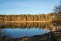 Mirror forest lake with reflection in winter sunny day, de Kempen regio in North Brabant, Netherlands