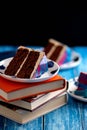 Mirror glazed cake slices on a plate, on a stack of books, on a blue background