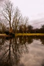 Mirror image of empty trees