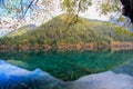 Mirror Lake,Jiuzhaigou,north of Sichuan province, China. Royalty Free Stock Photo