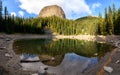 Mirror lake with pine forest reflection on pond in Lake Louise at Banff national park, Canada Royalty Free Stock Photo