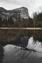 Reflections of Rocks and Dear Tree Branches in Mirror Lake in Yosemite National Park, California Royalty Free Stock Photo