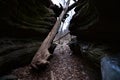 Mirror Lake state park fern dell gorge icicle formations a fallen tree in the gorge Royalty Free Stock Photo
