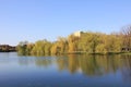 Mirror on the lake - willow trees reflection in the water Royalty Free Stock Photo