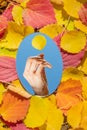 The mirror lies on autumn yellow and red leaves. The mirror reflects a cloudless blue sky and a yellow leaf in a woman`s hand.