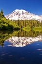 Mirror like reflection in bench lake Royalty Free Stock Photo