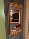 mirror in lodge in opera Gran Teatro la Fenice