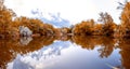 Mirror panorama of a small lake. trees on the shore. fall