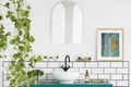 Mirror and poster in white bathroom interior with washbasin and plant. Real photo Royalty Free Stock Photo