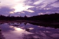 Mirror of purple sky in the morning reflection to the water. Royalty Free Stock Photo