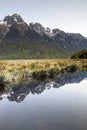 A mirror reflection of mountains captured in portrait. Royalty Free Stock Photo