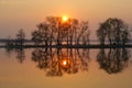 Mirror reflection of the sun and trees in the Bay on a red the sunset Royalty Free Stock Photo