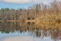 Mirror reflection on the water surface in a lake surrounded by bare trees Royalty Free Stock Photo