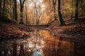 Mirror Reflections of a Rustic Autumn Forest