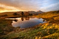 Mirror reflections in small lake with golden light on land. Taken at Kelly Hall Tarn, Lake District, UK. Royalty Free Stock Photo