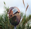 Mirror road sign among reeds, outdoor convex mirrors, traffic curved glass. Large convex mirror on the road to improve visibility
