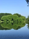 Mirror surface of a forest lake. Royalty Free Stock Photo