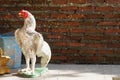 Mirror tile decorative chicken