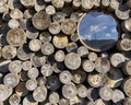 mirror on top of a large pile of logs Royalty Free Stock Photo