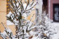 mirrored silver ball on outdoor decorated snow-covered Christmas tree close up on winter day Royalty Free Stock Photo