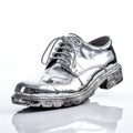 Mirrored Silver Shoe: Post-apocalyptic Futurism In A Single Image