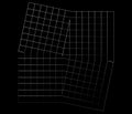 Mirrored, tweaked irregular grid, mesh, grating and lattice geometric vector element, pattern, texture