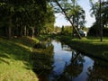 Mirroring in the creek Royalty Free Stock Photo