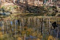 Mirroring reflections in the water Royalty Free Stock Photo