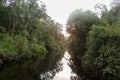 Mirroring river in the deep jungle of Borneo, Silhouettes of boats from the