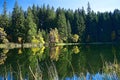 Mirroring on the water level of the Vrbicke tarn in Demanovska valley in Slovakia. Royalty Free Stock Photo