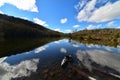 Mirrow-like reflections on Lake Dobson