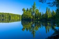 Mirrrored forest, sawbill lake, bwcaw Royalty Free Stock Photo