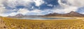 Miscanti Lagoon in the Atacama Desert, Chile Royalty Free Stock Photo