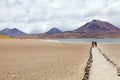 Miscanti Lagoon, Chile