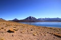 Miscanti Lake (Laguna Miscanti), Chile