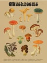 Miscellaneous Mushroom Drawing Aesthetic, Mold Spore Vector Outline, Fungus Sketch.