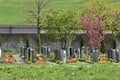 Miscellaneous tombstones lined up in rows in a graveyard or cemetery. Royalty Free Stock Photo