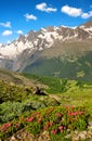 The Mischabel group in Swiss alps. Royalty Free Stock Photo