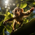 Curious Monkey Swinging Through Tropical Rainforest Canopy