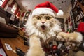 Cat left alone at home wreaks havoc in a room decorated for Christmas Royalty Free Stock Photo