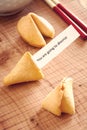 Misfortune Cookie with Divorce Message Royalty Free Stock Photo