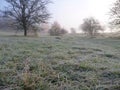 Misfy frosty autumn morning in the nature Royalty Free Stock Photo