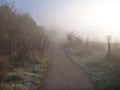 Misfy frosty autumn morning in the nature Royalty Free Stock Photo